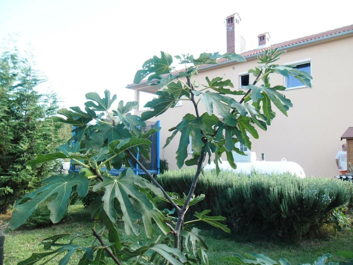 Apartments Katja Štinjan Zewnętrze zdjęcie